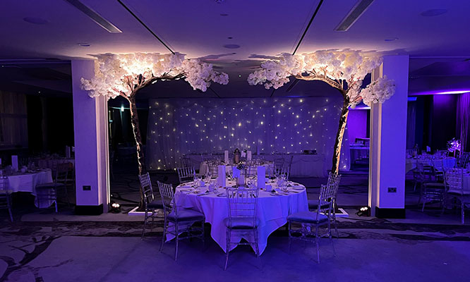 Star Curtains