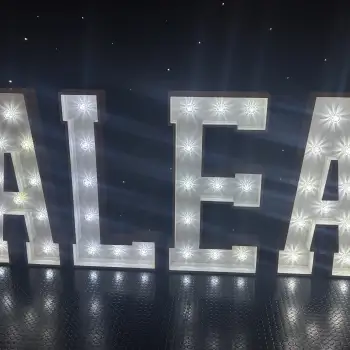 Click Here To View Larger Image