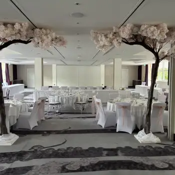 Click Here To View Larger Image