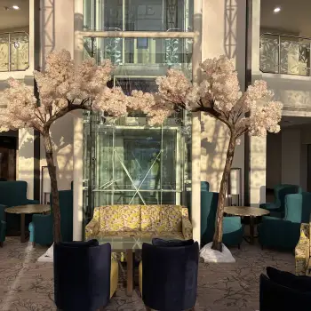 Click Here To View Larger Image