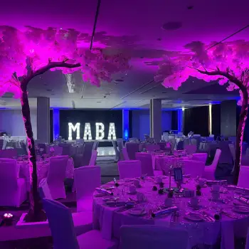 Click Here To View Larger Image