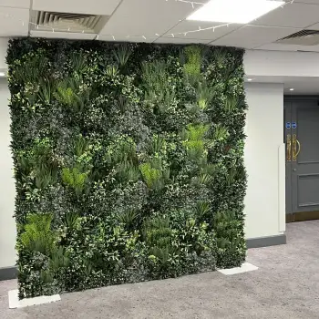 Click Here To View Larger Image