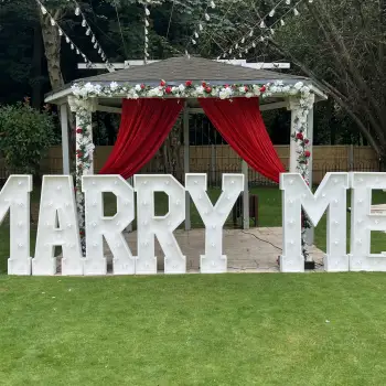 Click Here To View Larger Image