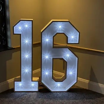 Click Here To View Larger Image