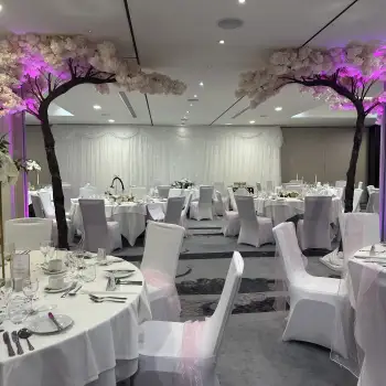 Click Here To View Larger Image